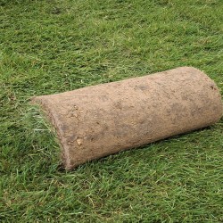 Achat petit rouleau de gazon en ligne | Paris Gazon
