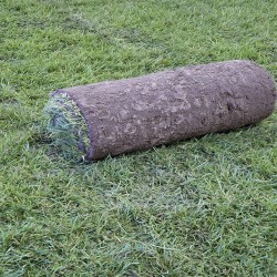 Achat petit rouleau de gazon en ligne | Paris Gazon
