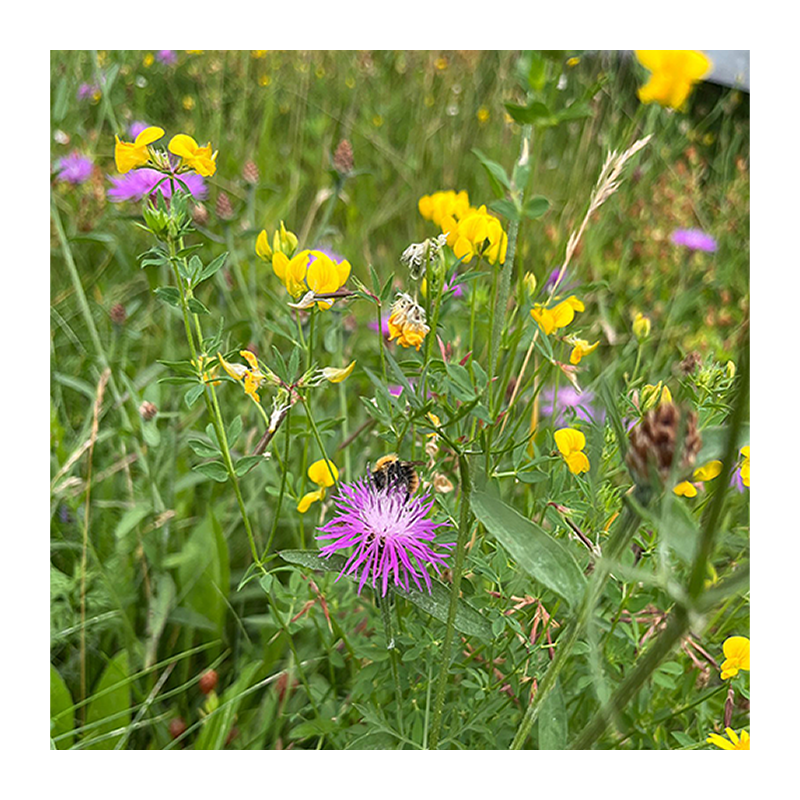 petits rouleaux fleuris « champêtre »