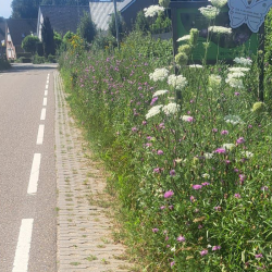 petits rouleaux fleuris « champêtre »