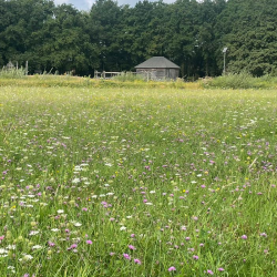 petits rouleaux fleuris « champêtre »