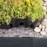Achat de plateau de sedum sur internet | Paris Gazon