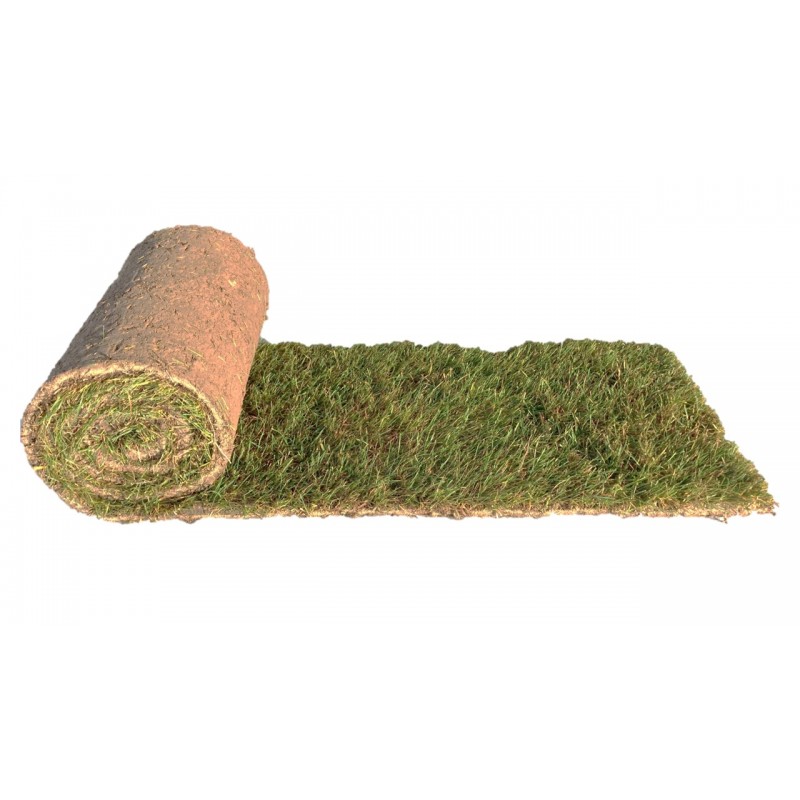 Achat petit rouleau de gazon en ligne Paris Gazon