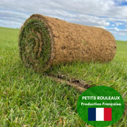 PETITS ROULEAUX PRO de...