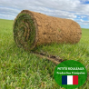 PETITS ROULEAUX PRO de gazon Français