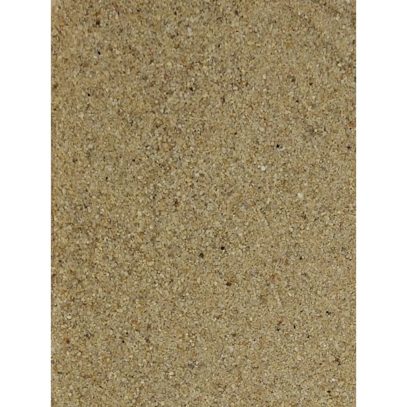 SABLE SEC 1000LS Palette