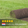 PETITS ROULEAUX DE GAZON HOLLANDAIS