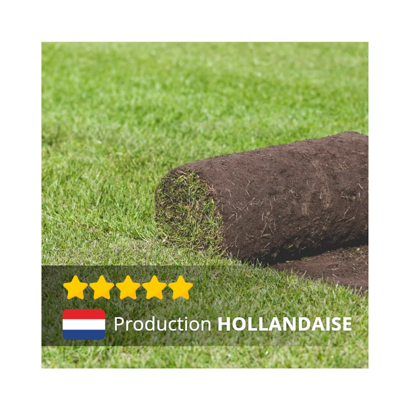 PETITS ROULEAUX PRO de gazon Hollandais