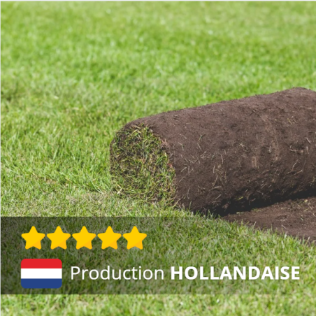 PETITS ROULEAUX PRO de gazon Hollandais