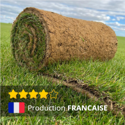 PETITS ROULEAUX DE GAZON...