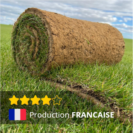 PETITS ROULEAUX DE GAZON Français